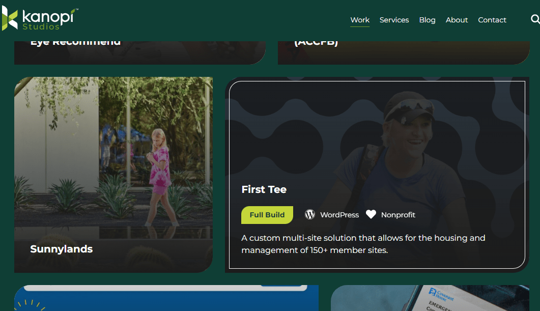 WordPress design features